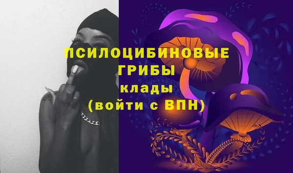 каннабис Белокуриха